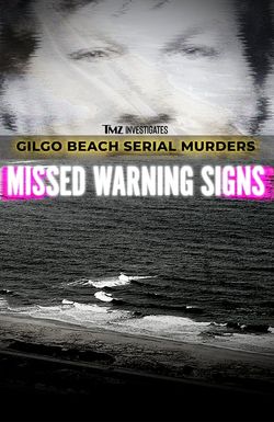 TMZ Investigates: Gilgo Beach Serial Murders