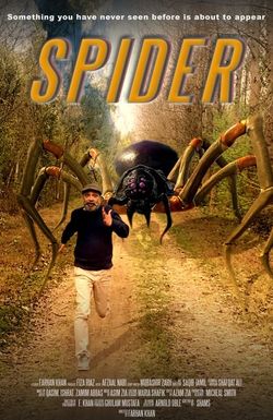 Spider