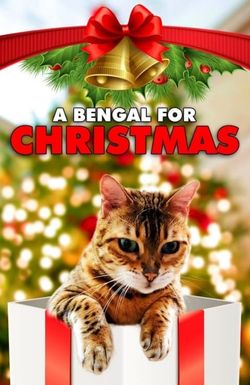 A Bengal for Christmas