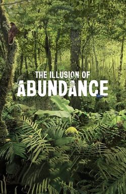 The Illusion of Abundance