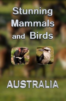 Stunning Mammals and Birds: Australia