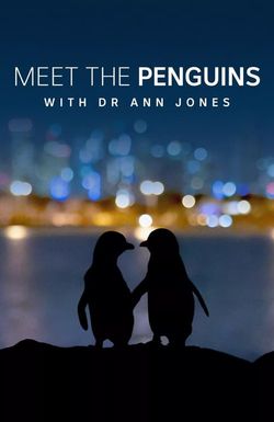 Meet the Penguins