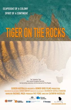 Tiger on the Rocks