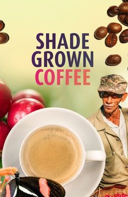 Shade Grown Coffee