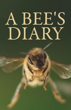 A Bee's Diary