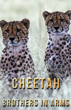 Cheetah Brothers in Arms