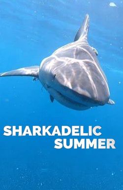 Sharkadelic Summer