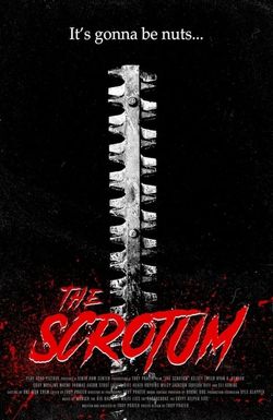 The Scrotum