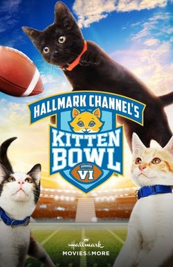 Kitten Bowl VI