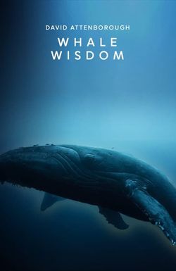 Whale Wisdom