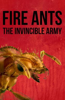 Fire Ants 3D: The Invincible Army