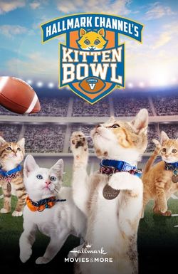Kitten Bowl V