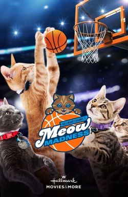 Meow Madness