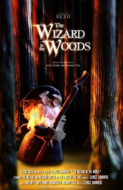 The Wizard in the Woods
