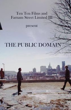 The Public Domain