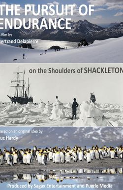 The Pursuit of Endurance