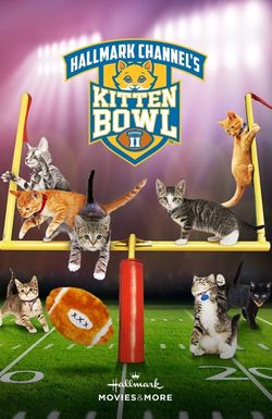 Kitten Bowl II