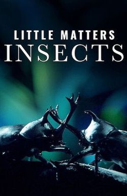 Little Matters: Insects
