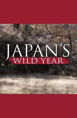 Japan's Wild Year