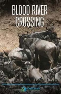 Blood River Crossing