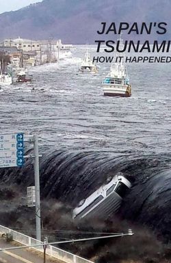 Japan Tsunami: How It Happened