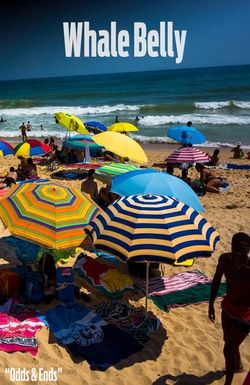 Whale Belly: Odds & Ends