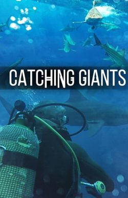 Catching Giants: Zambezi Shark