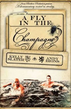 A Fly in the Champagne