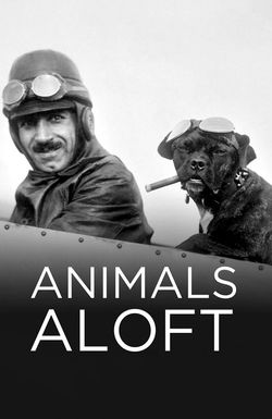 Animals Aloft