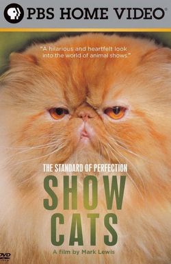 Standard of Perfection: Show Cats