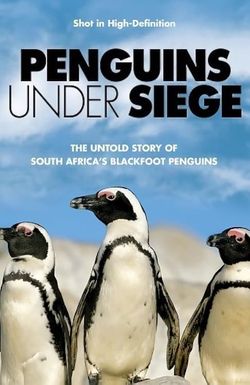 Penguins Under Siege