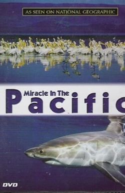 Miracle in the Pacific
