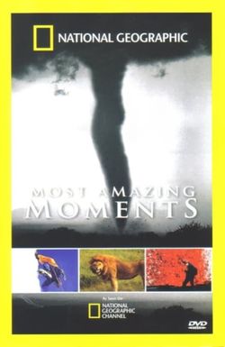 Amazing Moments