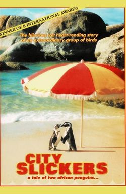 City Slickers: A Tale of Two African Penguins