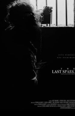 The Last Spark