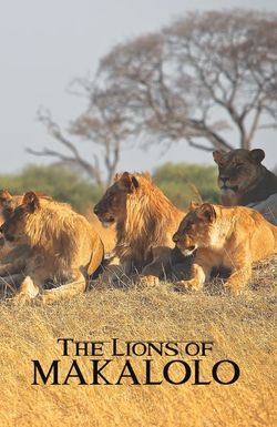The Lions of Makalolo