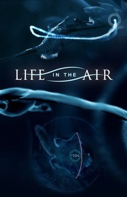 Life in the Air