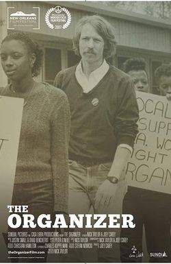 The Organizer