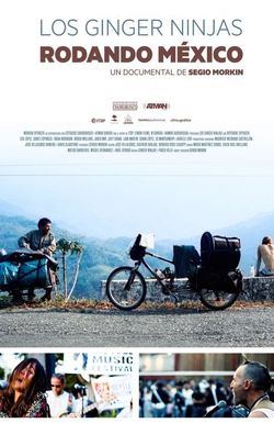 Los Ginger Ninjas, rodando México