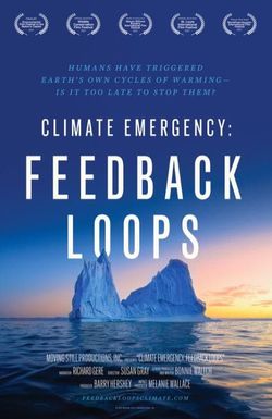 Climate Emergency: Feedback Loops