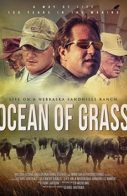 Ocean of Grass: Life on a Nebraska Sandhills Ranch