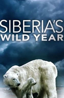 Siberia's Wild Year