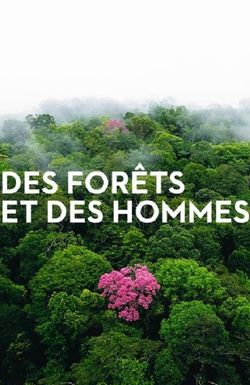 Forests and People
