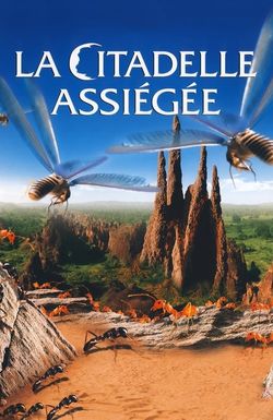 The Besieged Fortress