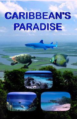 Caribbean's Paradise