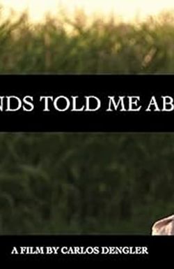 My Friends Told Me About You