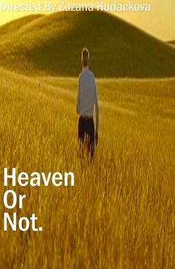 Heaven or Not