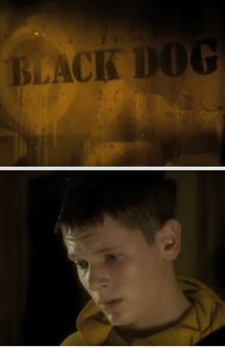 Black Dog