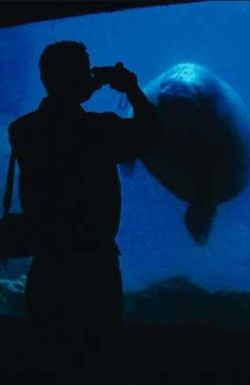 The Aquarium