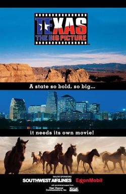 Texas: The Big Picture
